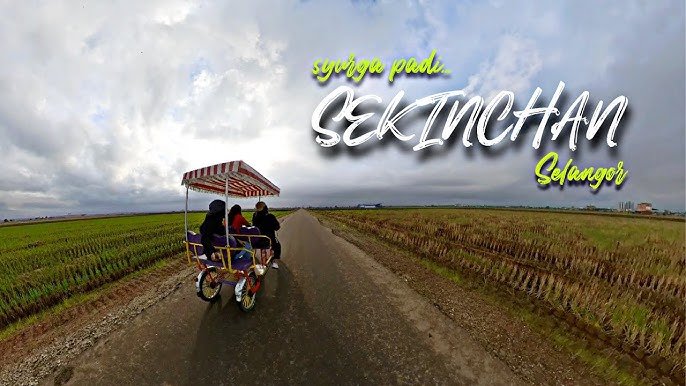 video-section-banner-image